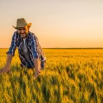 Agenor Vicente Pelissa