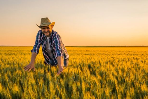 Agenor Vicente Pelissa