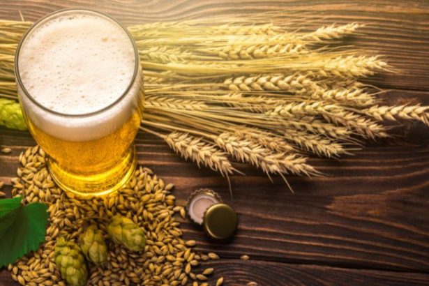 Andre Luiz Veiga Lauria