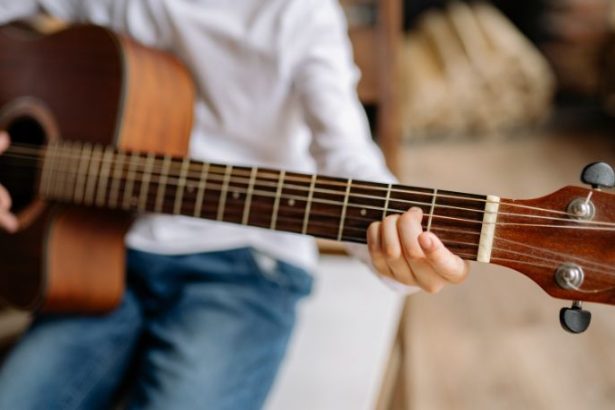 O Impacto Cultural e Econômico das Trajetórias Musicais Longevas na Identidade das Cidades do Interior